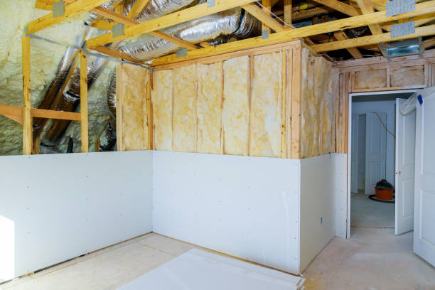Best Eco-Friendly Insulation in La Harpe, IL