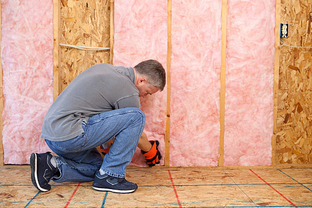 Best Commercial Insulation in La Harpe, IL