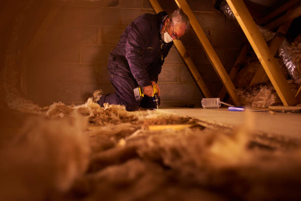 Best Cellulose Insulation in La Harpe, IL